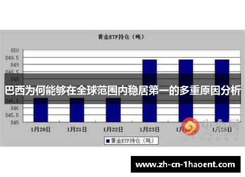 巴西为何能够在全球范围内稳居第一的多重原因分析