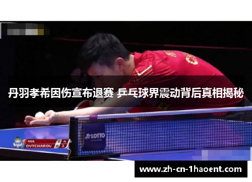 丹羽孝希因伤宣布退赛 乒乓球界震动背后真相揭秘