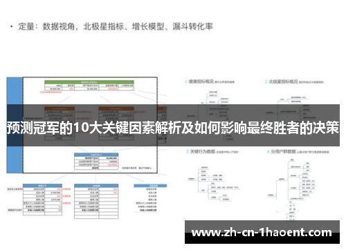 预测冠军的10大关键因素解析及如何影响最终胜者的决策