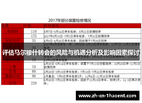 评估马尔穆什转会的风险与机遇分析及影响因素探讨