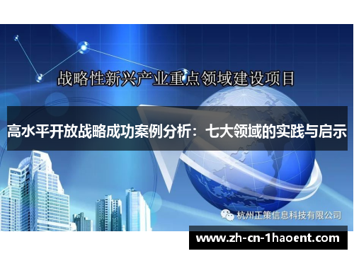 高水平开放战略成功案例分析:七大领域的实践与启示 高水平开放战略成功案例分析:七大领域的实践与启示